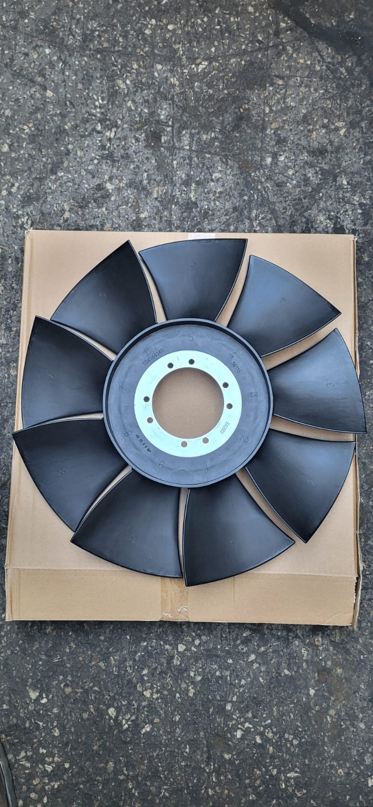 DAİLY FAN PERVANESİ