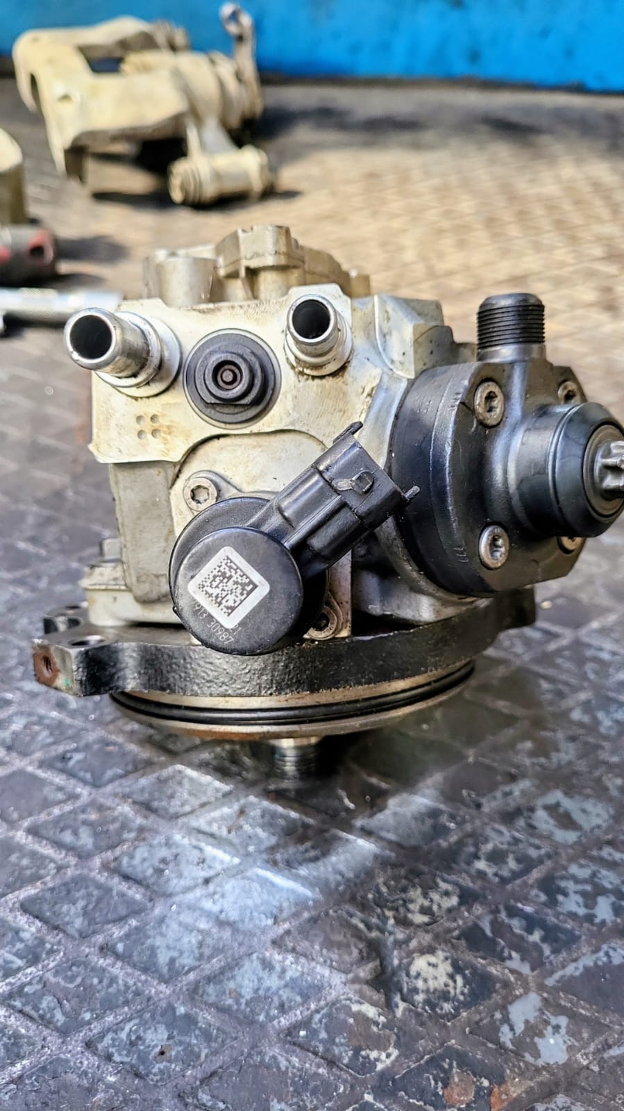 GAZELLE NEXS MAZOT POMPASI